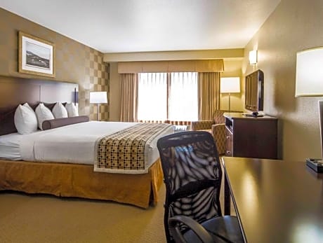 Queen Suite with Sofa Bed