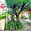 Capital O 90643 Suri Guest House Syariah