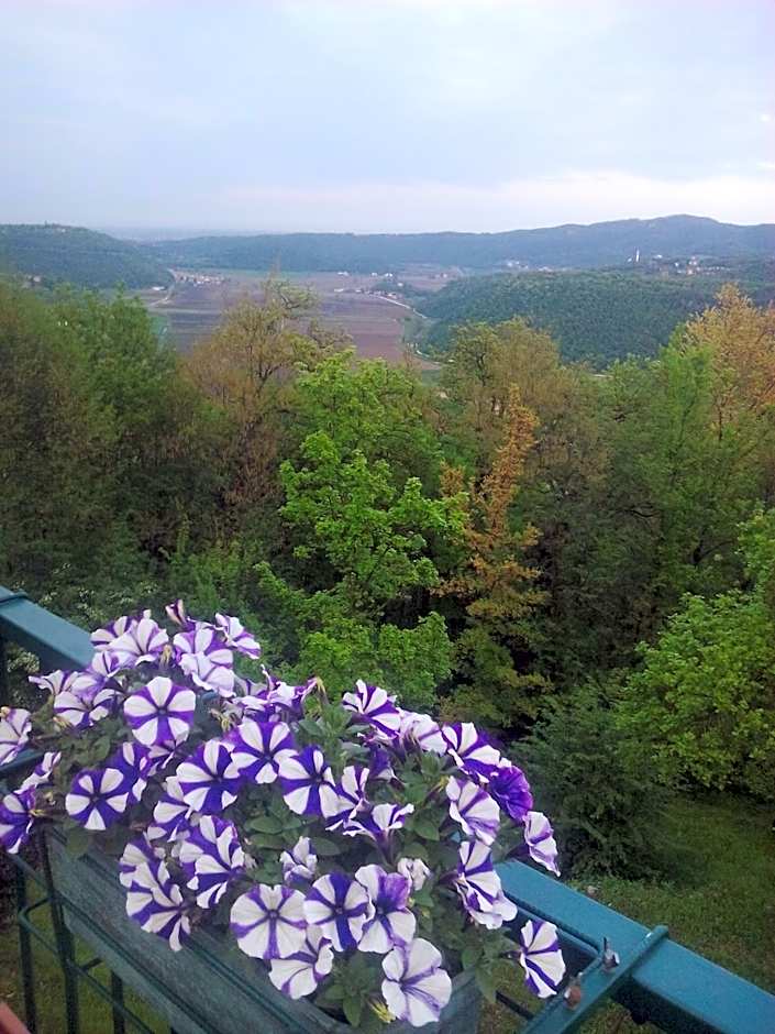 B&B Il Suono del Bosco