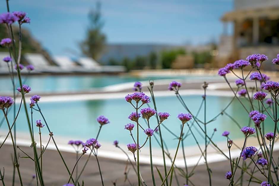 Golden Milos Beach Ηouse by Domotel