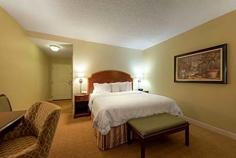 1 King Bed Nonsmoking