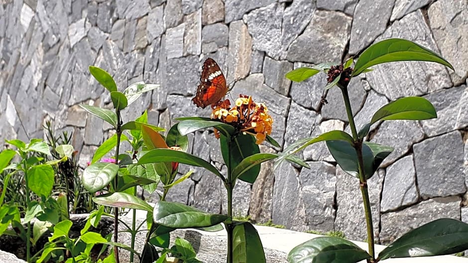 Morada Recanto das Flores