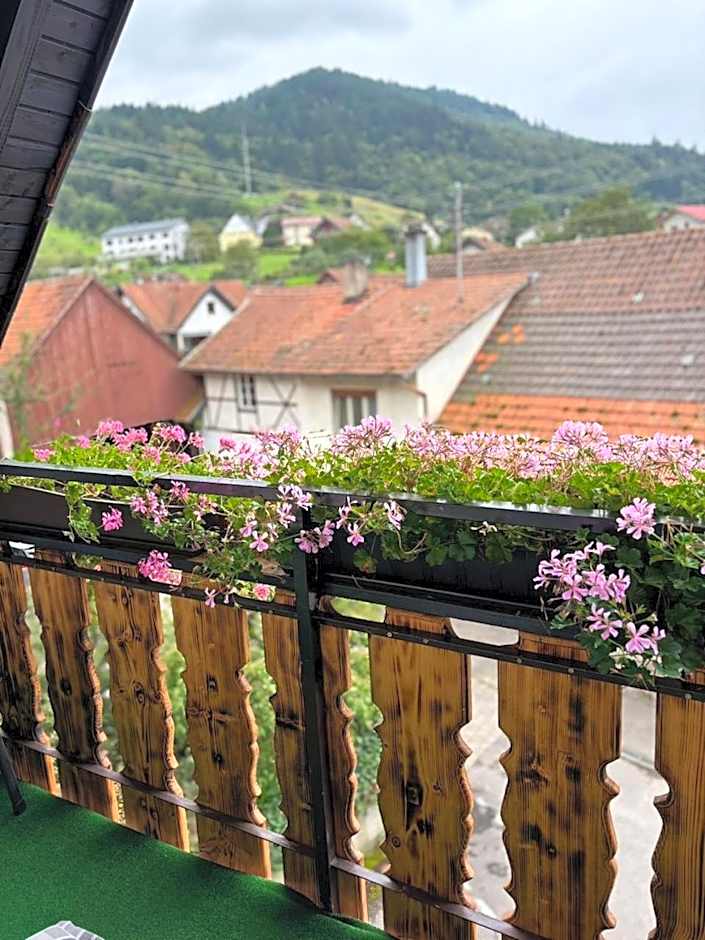 Landhotel Traube