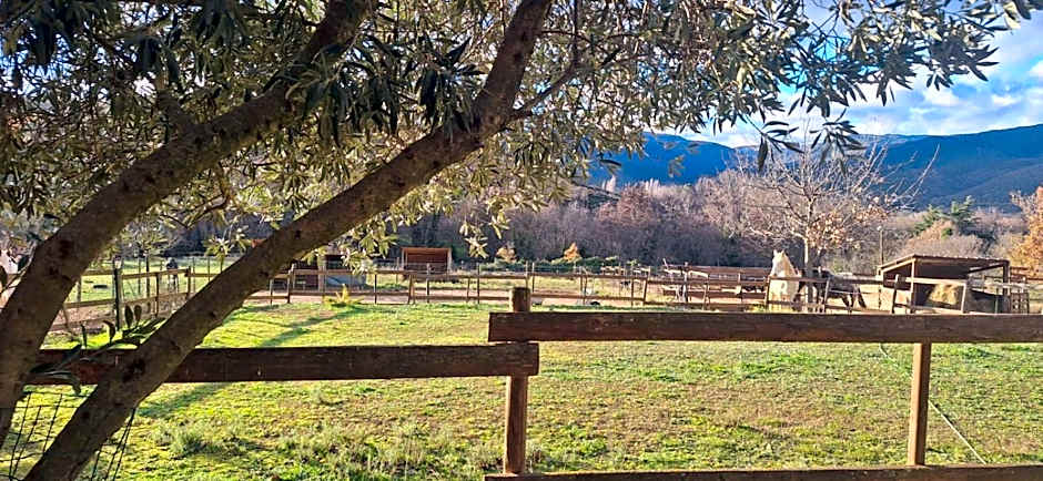 Chambre d'hôtes le petit Ranch