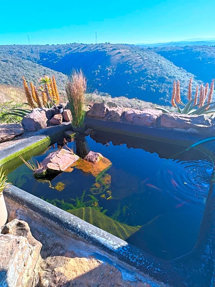 Leopards and Louries Bush Lodge