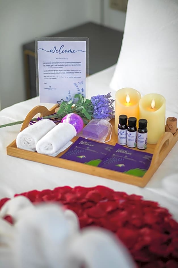 Cameron Lavender Mansion by PLAY