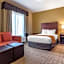 Comfort Suites Airport South