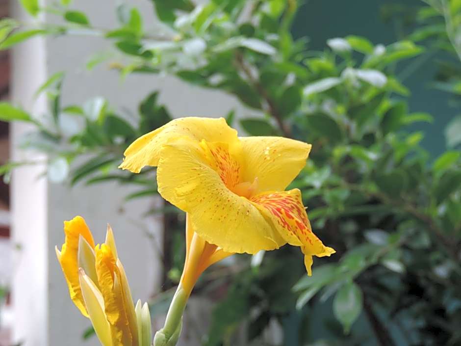 Blue Paradise Residence