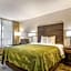Quality Inn Suwanee I-85