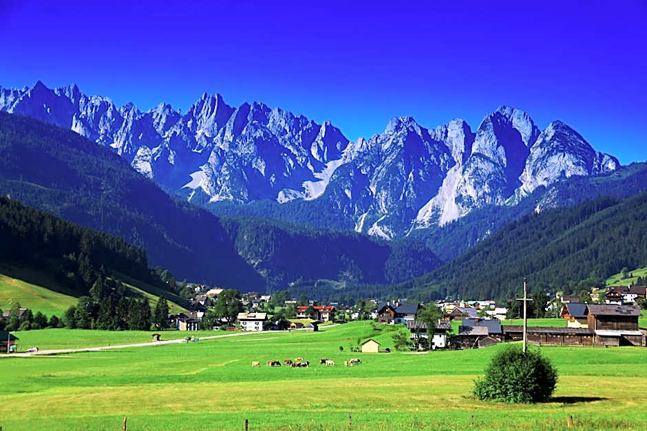 Hotel - Restaurant Gosauerhof