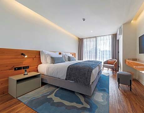 Superior One-Bedroom Apartment