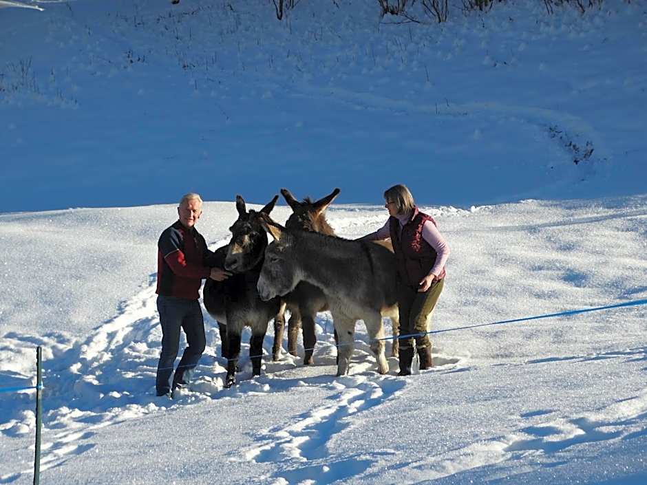 Le Bois des Louison