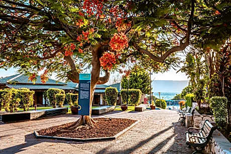 Daria- Authentic Israeli Experience