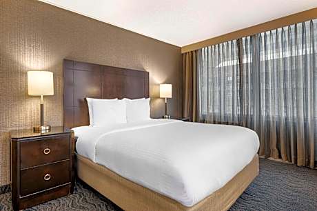 Queen Room with Park View - Non-Smoking