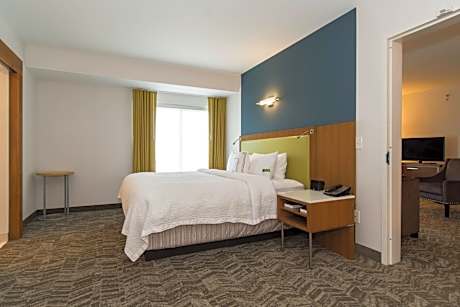 1 Bedroom Suite, 1 King, Sofa beds: 2