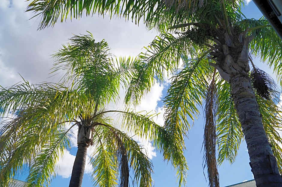 Jacaranda Country Motel