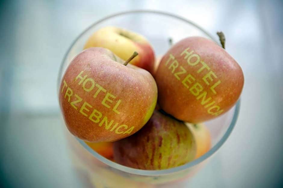 Hotel Trzebnica