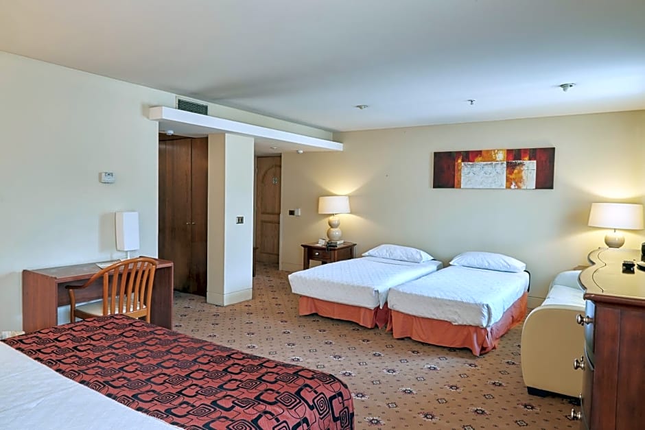 Hotel Torremayor Lyon