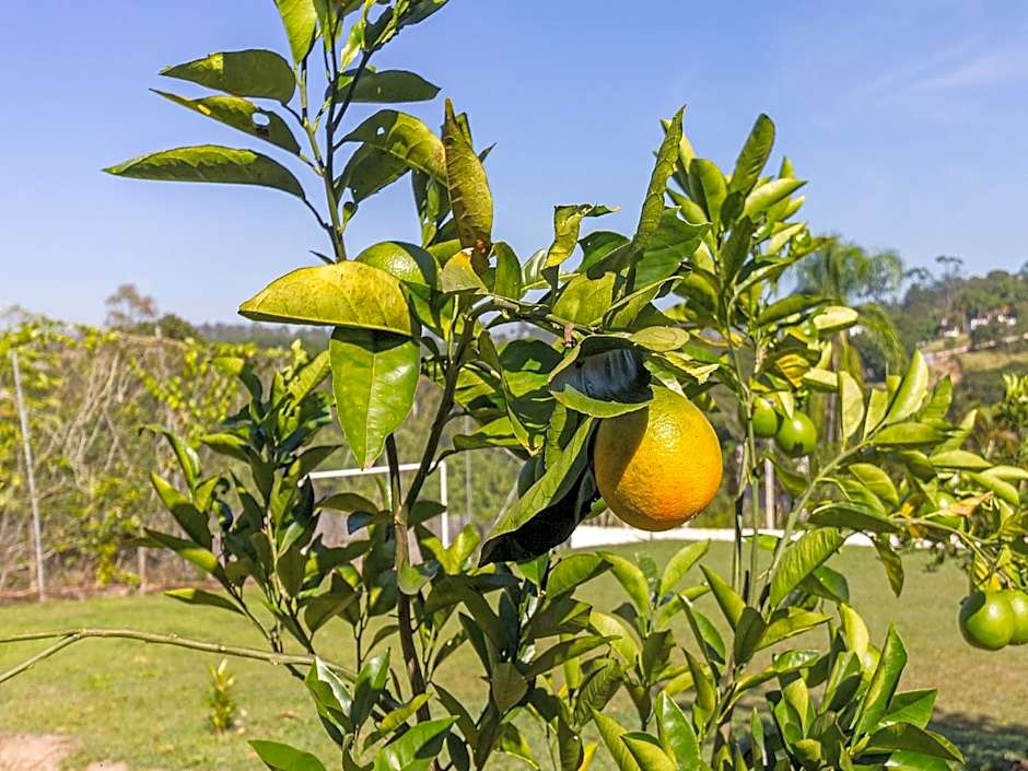 Piscina, jardim, área gourmet e vista arborizada