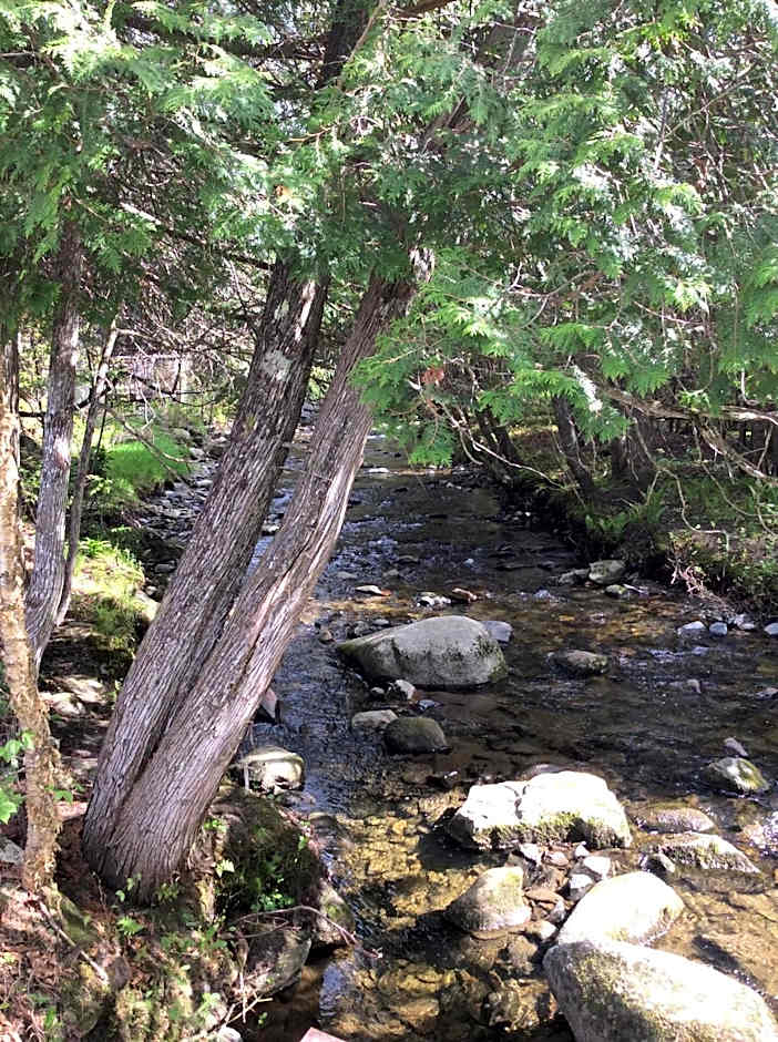 Aux Pignons Rouges Camping & Chalets