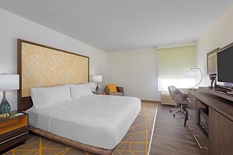 King Suite with Sofa Bed