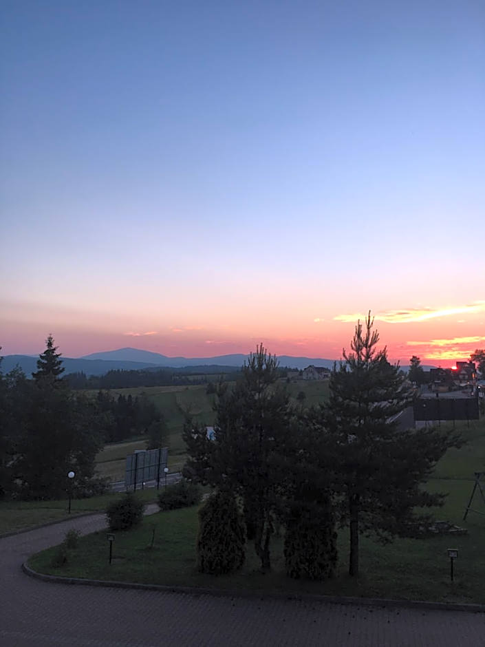 Hotel Restauracja U Guta