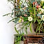 Villa Ganz Boutique Hotel