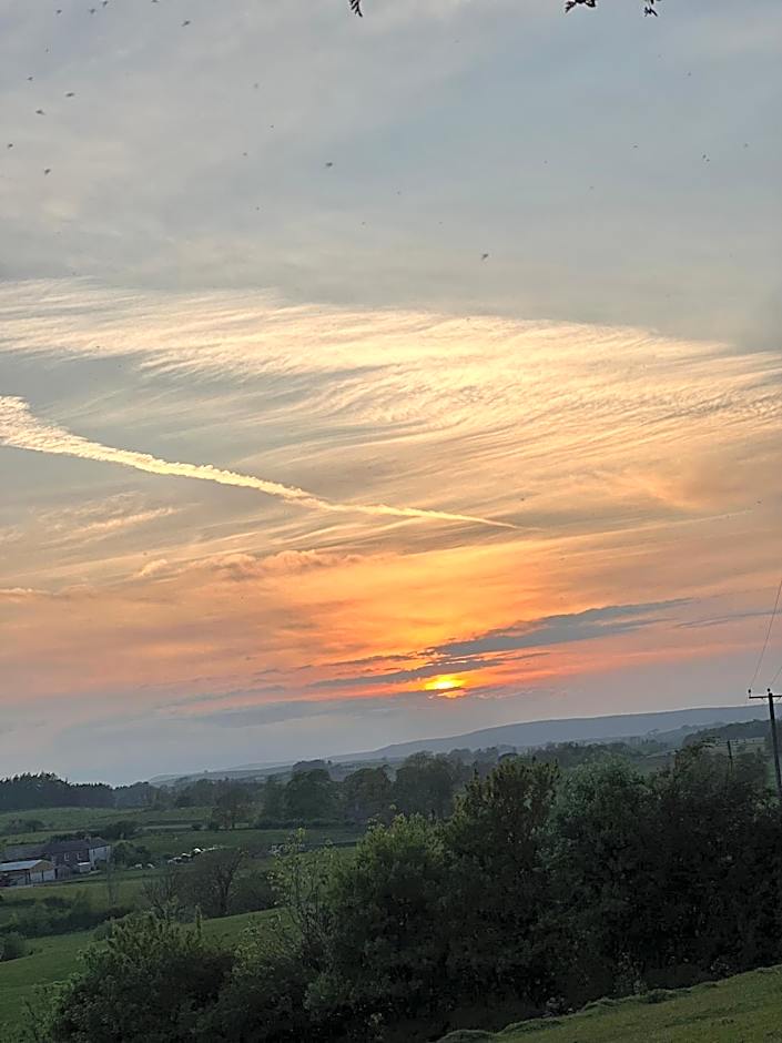 The Fat Lamb Country Inn and Nature Reserve
