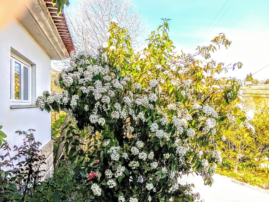 Casa Vale do Rio Ovil