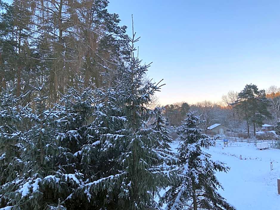 Waldwerk Wurlgrund Lychen