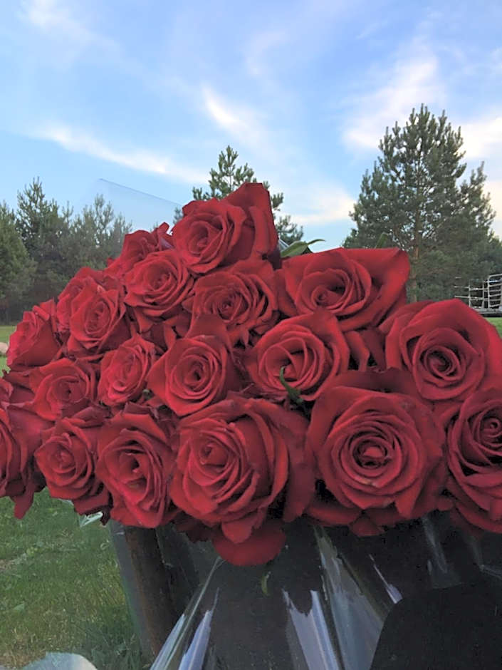 VIP Red Love house for 2