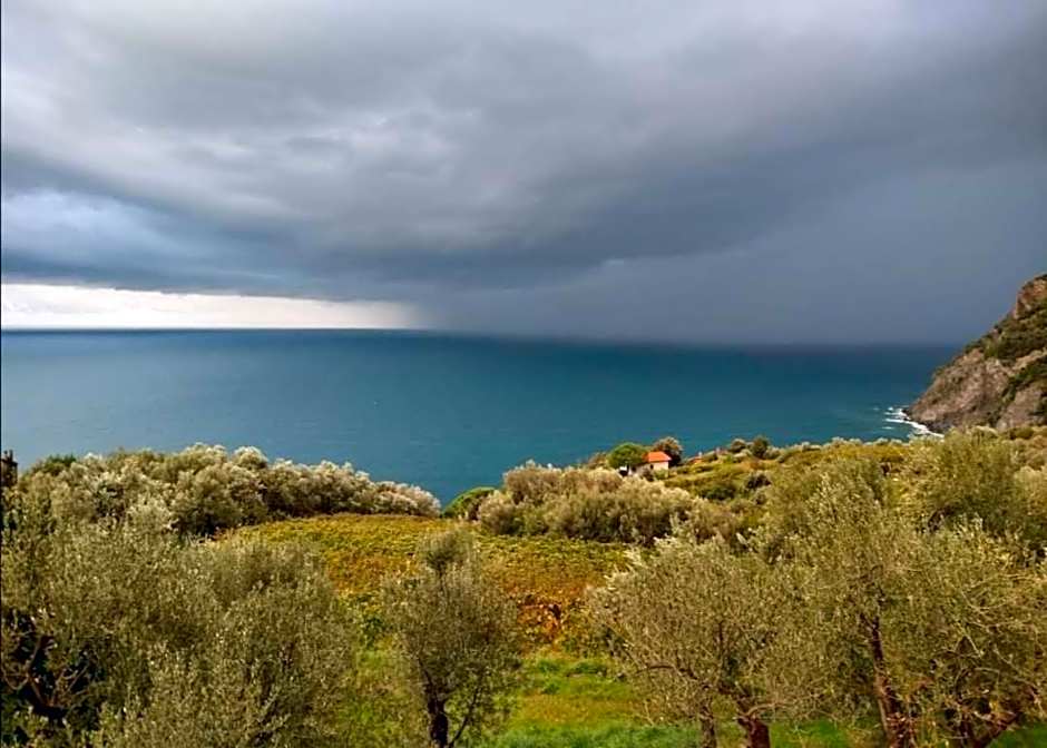 Perla del Levante Hostel