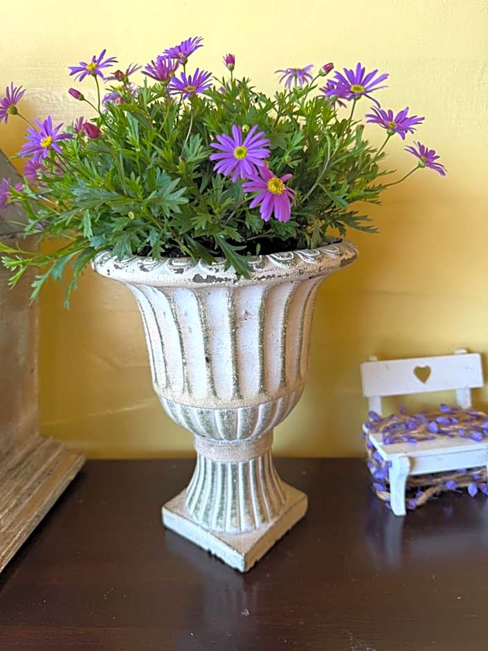 Alishan Tea Garden B&B