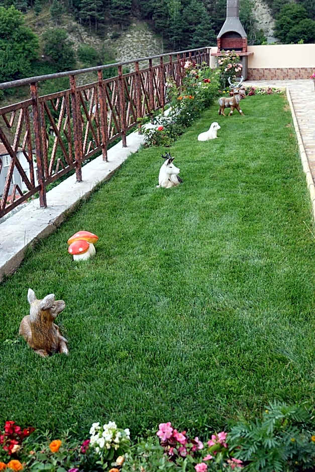 Борник Хил / Bornik Hill