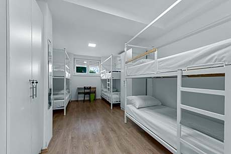 Bunk Bed in Mixed Dormitory Room