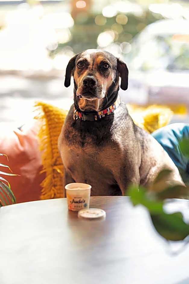 room2 Southampton Hometel