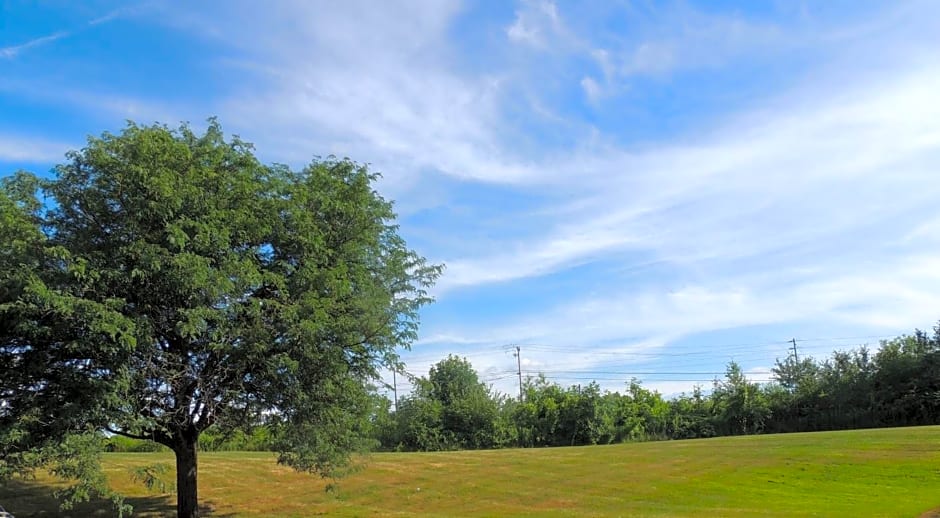 Quality Inn and Suites Fairgrounds - Syracuse