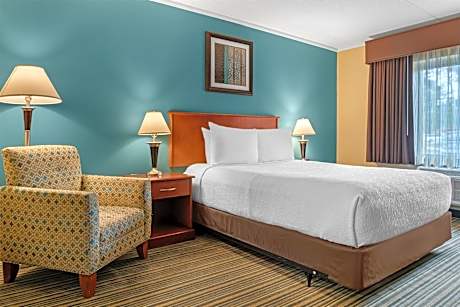 1 Queen Mobility Accessible Comm Assist Roll In Shower Microwave Fridge Wi-Fi NSMK Full Breakfast