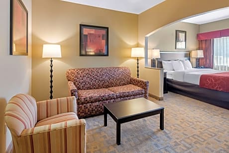 1 King Bed, Business Room, Suite, Nonsmoking, Accessible