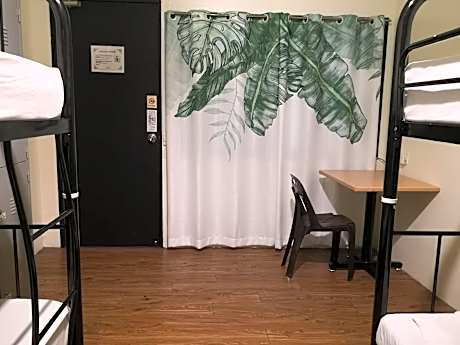 Bed in 4 Bed Dormitory (B)