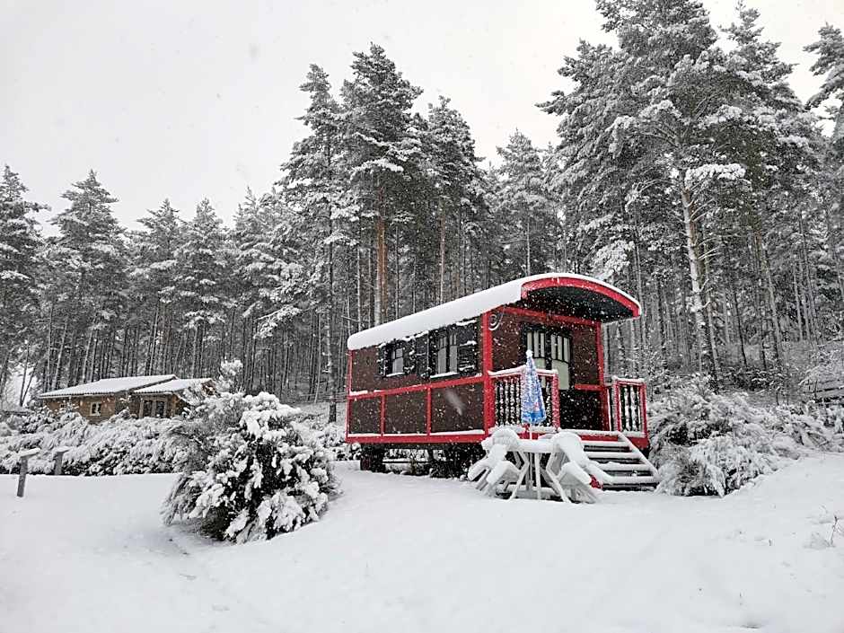 Les Chalets du Haut-Forez