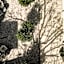 L'olive homes