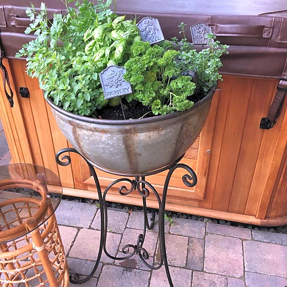 A Suite Retreat - Beyond Bed & Breakfast