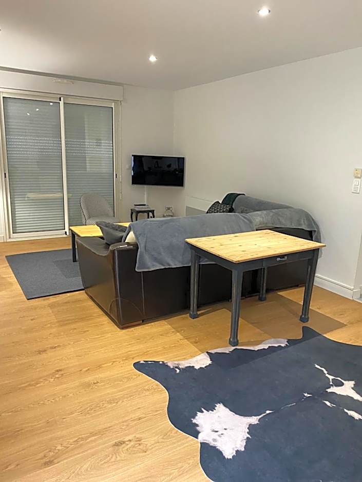 Le Rocher Appart Hôtel