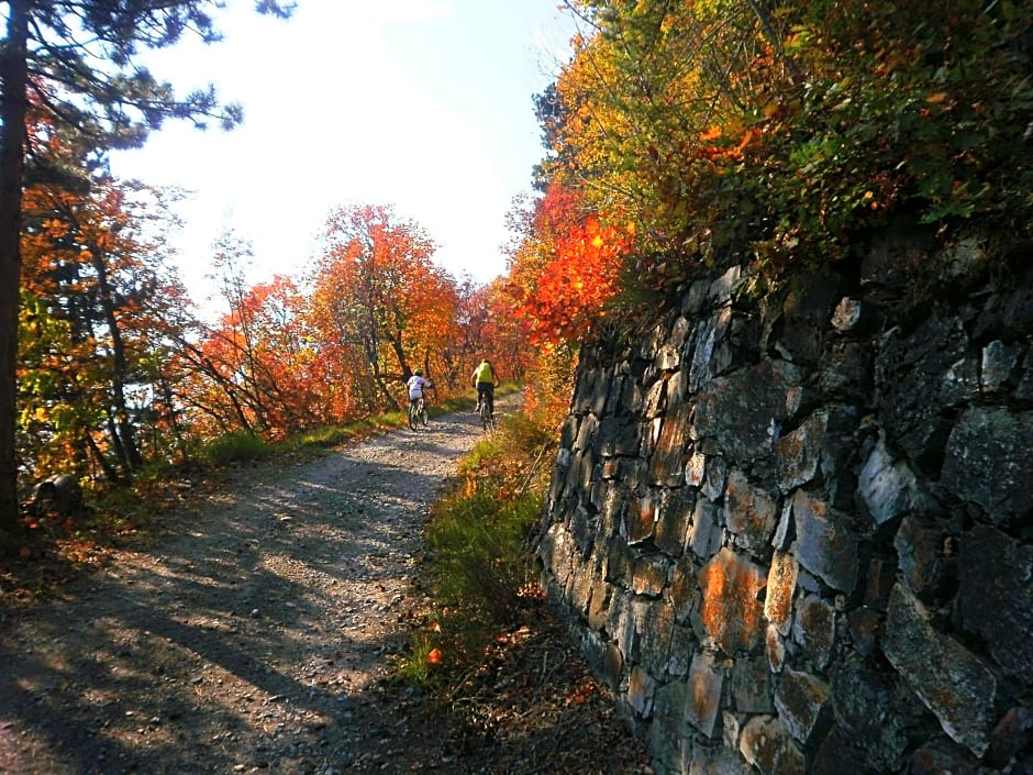 Bed and breakfast Al Rudun