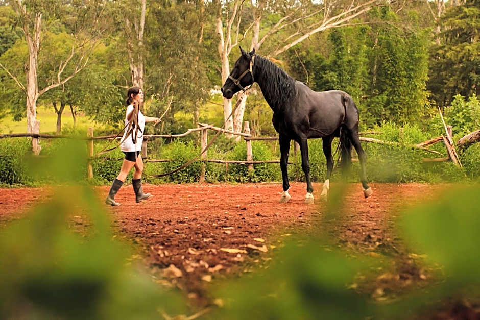 Rancho con Caballos El Reencuentro