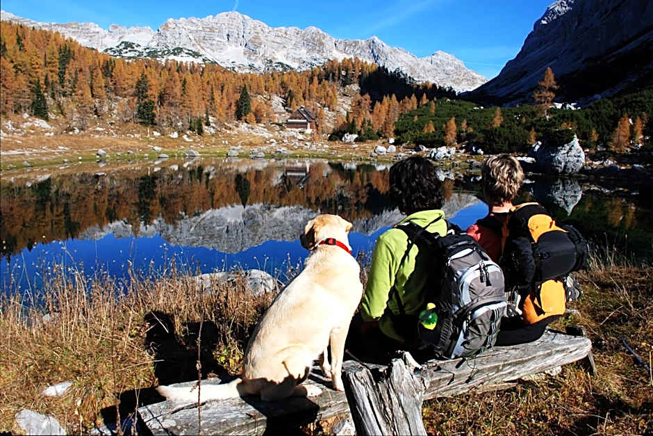 Hotel Appartement Haus Gitschberg