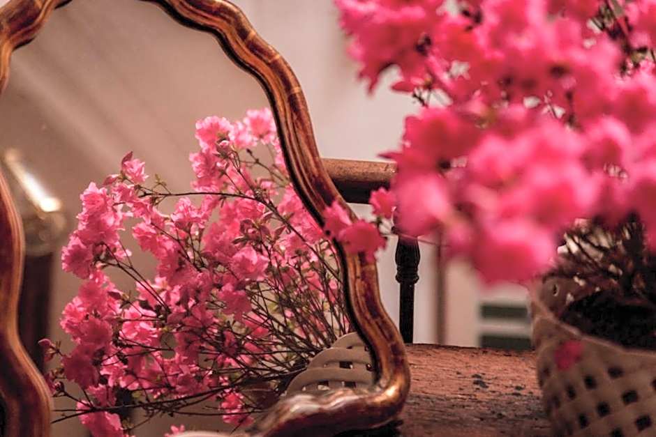 Château du Plessis - Anjou