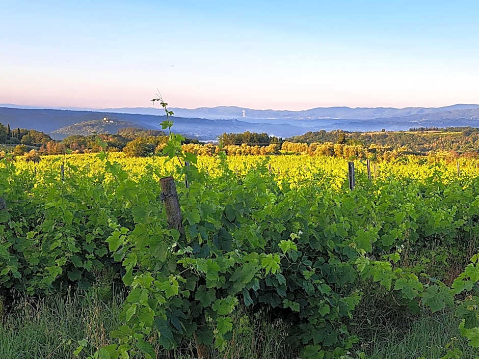 La Favilletta Casa Vacanze