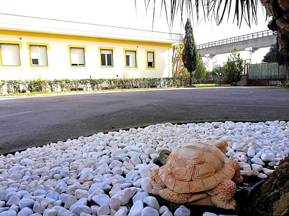 Central Room Fortuna